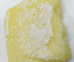 Mold on Cheese